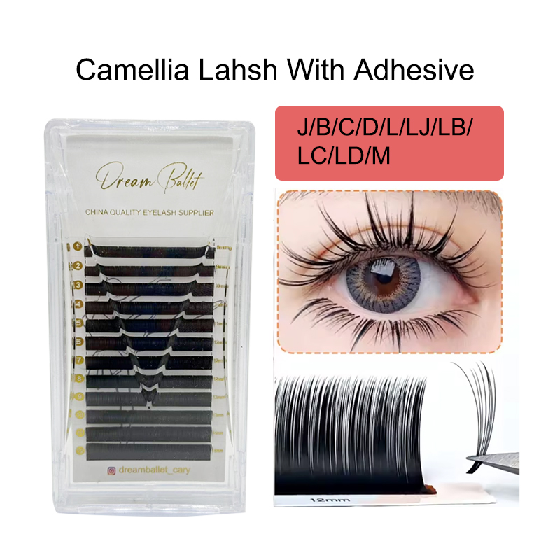 dream ballet Camellia Lashes w - Eyelash Extension Volume Lashes review and price