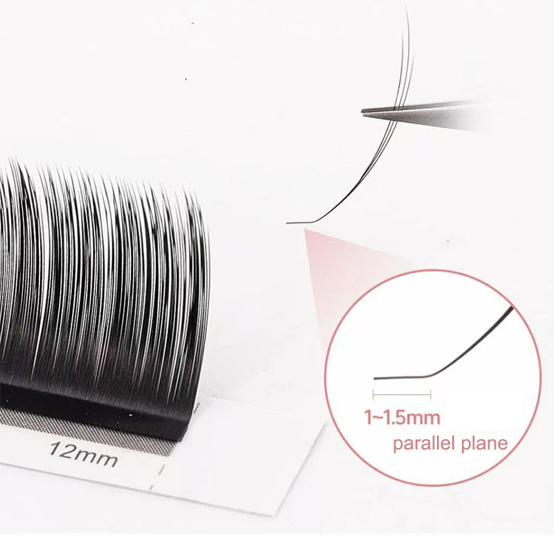 dream ballet Camellia Lashes w - Eyelash Extension Volume Lashes review and price