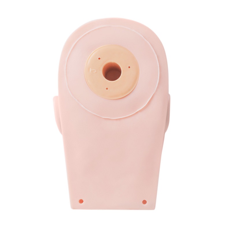 Eyelash Extension Training Hea - Eyelash Extension Model review and price